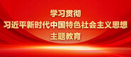 胖女人草比视频学习贯彻习近平新时代中国特色社会主义思想主题教育_fororder_ad-371X160(2)